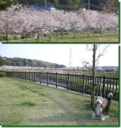 08040600.jpg