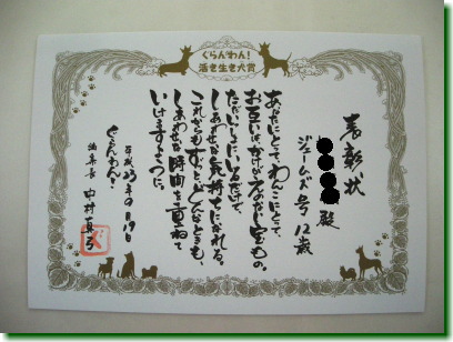 11091901.jpg