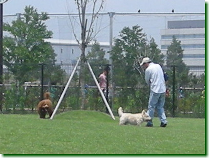13062901.jpg