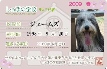 anicom2009.jpg