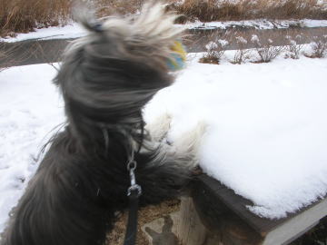 i012201.jpg