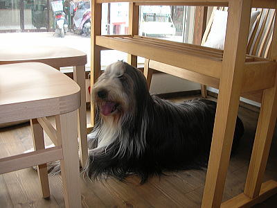 i041500.jpg