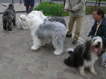 i041600.jpg