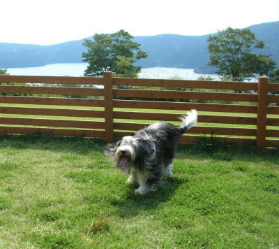 i092300.jpg