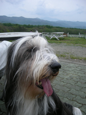 i10052201.jpg