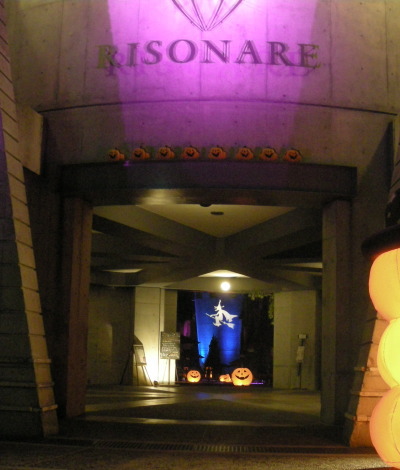i10100203.jpg