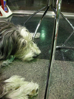 i10103002.jpg