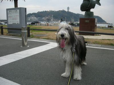 i10120203.jpg