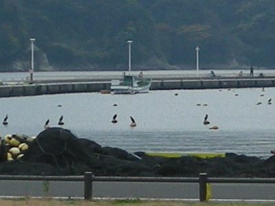 i10120204.jpg