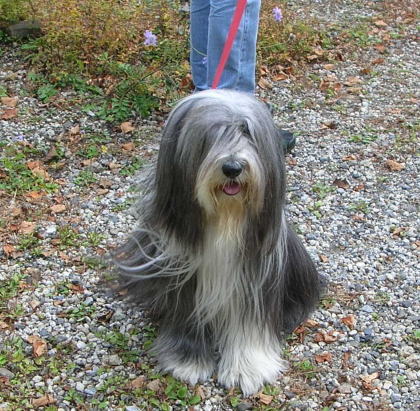 i102200.jpg