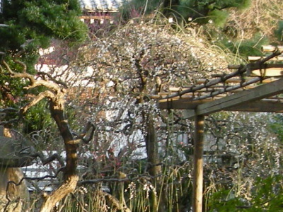 i11012002.jpg