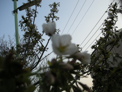 i11033002.jpg