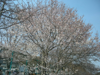 i11040202.jpg