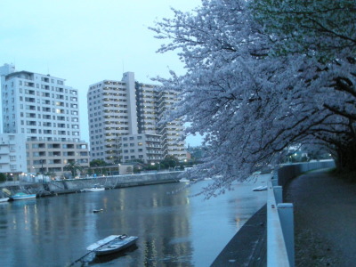 i11041103.jpg