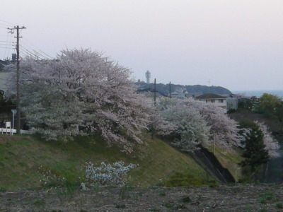 i11041202.jpg
