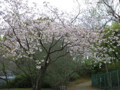 i11041501.jpg