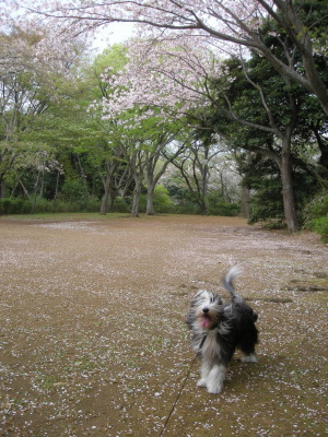 i11041502.jpg