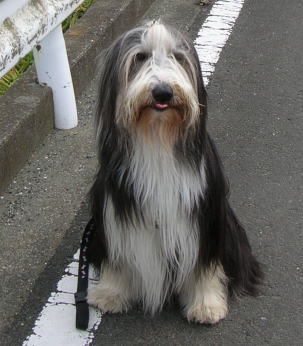 i111500.jpg