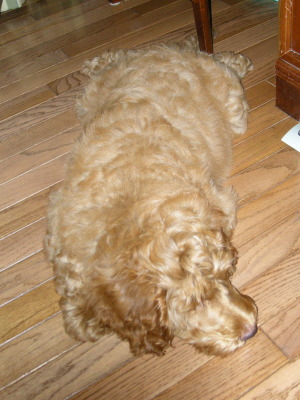 i12052006.jpg