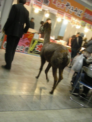 i13011202.jpg