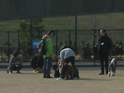 i13020304.jpg