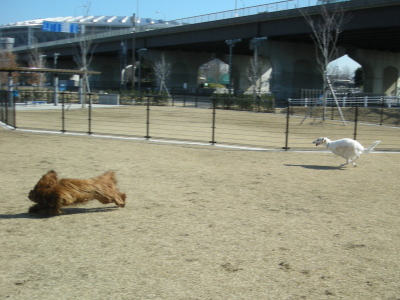 i13022007.jpg