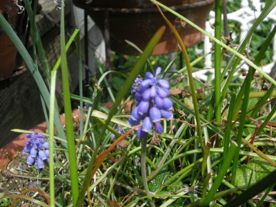 i13032401.jpg