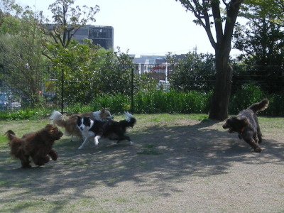 i13041303.jpg