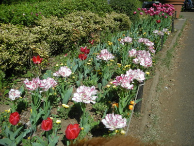 i13041316.jpg