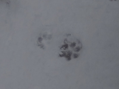i14021401.jpg