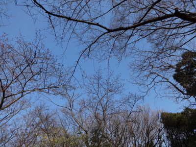 i14032501.jpg