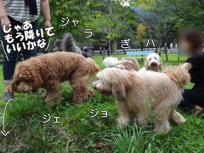 i14090420.jpg