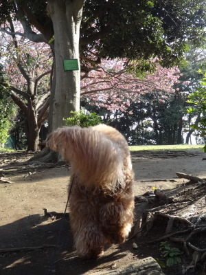 i15041705.jpg