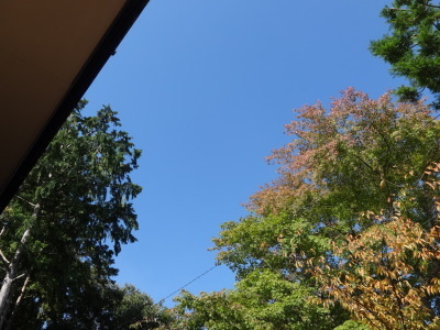 i15100913.jpg