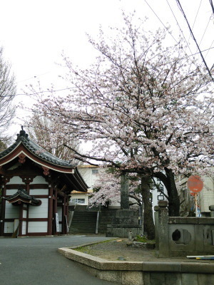 i17040701.jpg