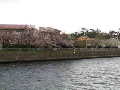 i17040705.jpg