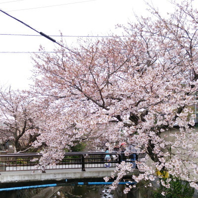 i17040706.jpg