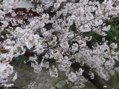 i17041002.jpg