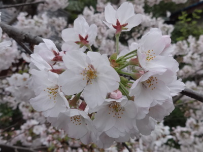 i17041003.jpg