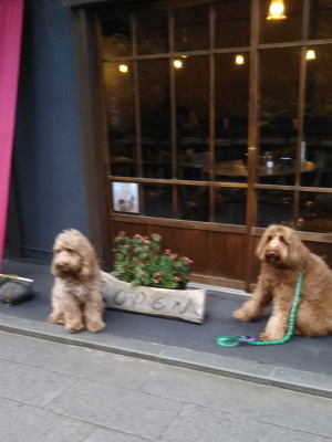 i18011201.jpg