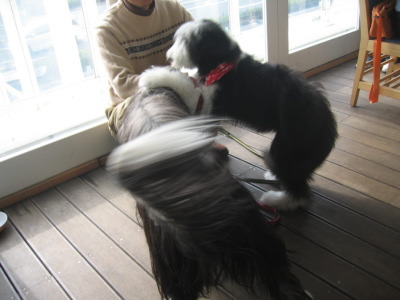 0201ka-raru4.jpg