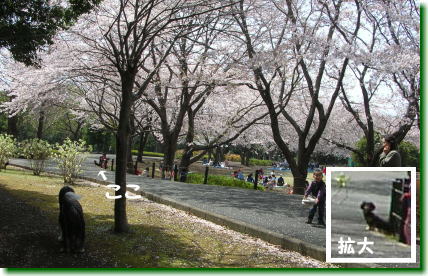 040400.jpg