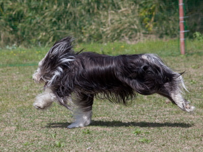 0424gure1.jpg