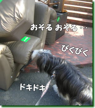 07031300.jpg