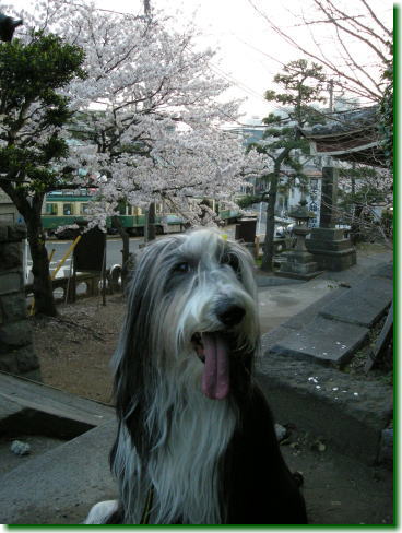 09040600.jpg