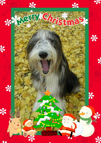 09xmas.jpg