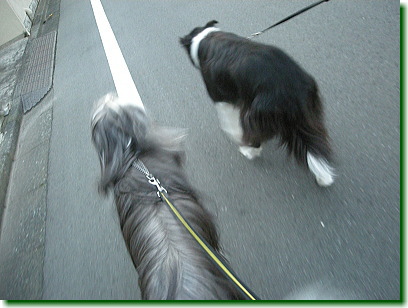 11112201.jpg