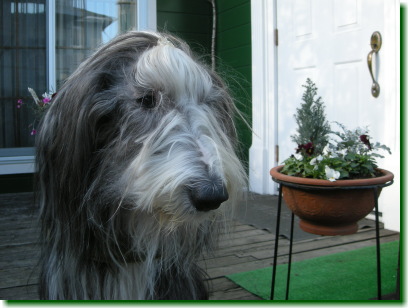 12012501.jpg