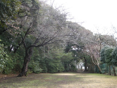 12022501.jpg