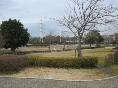 12022503.jpg